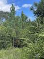 5700 Block Pine Forest Road - Photo 6
