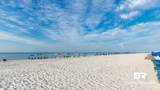 24132 Perdido Beach Boulevard - Photo 17
