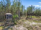 22544 Lechner Road - Photo 9