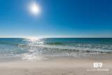 24132 Perdido Beach Boulevard - Photo 22
