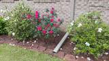 2203 Dogwood Lane - Photo 30