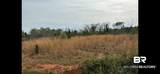 3740 Latigo Road - Photo 4
