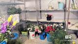 17115 Jordan Street - Photo 16