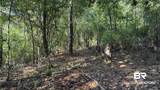 0 Lechner Road - Photo 13