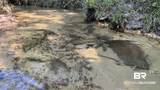 0 Lechner Road - Photo 15