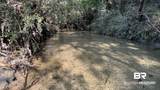 0 Lechner Road - Photo 16