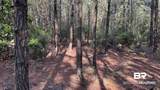0 Lechner Road - Photo 20