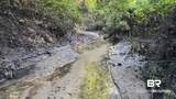 0 Lechner Road - Photo 21