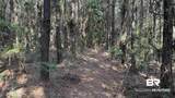 0 Lechner Road - Photo 25