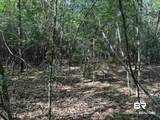 0 Lechner Road - Photo 26