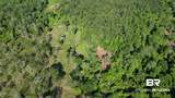 0 Lechner Road - Photo 28