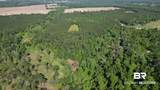 0 Lechner Road - Photo 8
