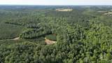 1950 Wilma Road - Photo 2