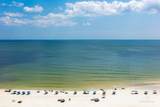 25020 Perdido Beach Boulevard - Photo 27