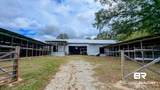 143 Healing Springs Avenue - Photo 45