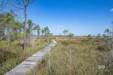 1231 Hummingbird Lane - Photo 53