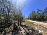 2610 Highway 4 - Photo 80