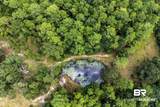 30550 Sawmill Road - Photo 40