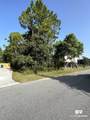 0 Tiger Brown Avenue - Photo 19