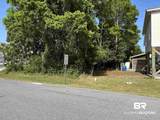 0 Tiger Brown Avenue - Photo 4