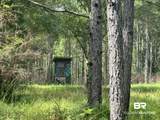0 Nokomis Road - Photo 3
