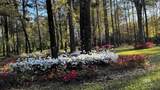 45554 County Road 112 - Photo 43