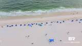 23044 Perdido Beach Boulevard - Photo 47