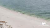 27070 Perdido Beach Boulevard - Photo 27