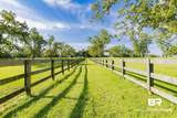 8728 Zippers Trail - Photo 23