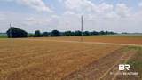 0 Shell Road - Photo 17