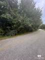 33680 Steelwood Drive - Photo 2