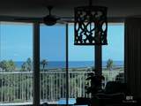 28103 Perdido Beach Boulevard - Photo 21