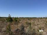 3 County Road 64 - Photo 14