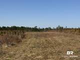 3 County Road 64 - Photo 9
