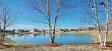 21933 Landry Lane - Photo 55