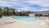 26255 St Lucia Drive - Photo 35