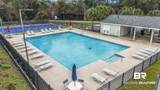26255 St Lucia Drive - Photo 56