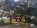 919 Hickory Street - Photo 1