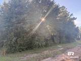 919 Hickory Street - Photo 14
