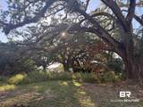 919 Hickory Street - Photo 2