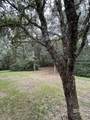 45435 Chalet Drive - Photo 31