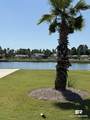 28086 Migratory Way - Photo 6