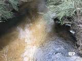 24050 River Road - Photo 10