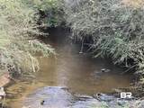 24050 River Road - Photo 11