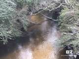 24050 River Road - Photo 12