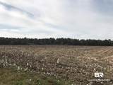 24050 River Road - Photo 8