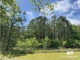 0 Horace Odom Road - Photo 10