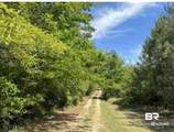 0 Horace Odom Road - Photo 5
