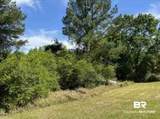0 Horace Odom Road - Photo 6