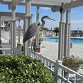 400 Plantation Road - Photo 24